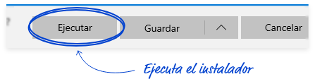 Descarga IE